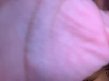 _flips_ live cams all day
