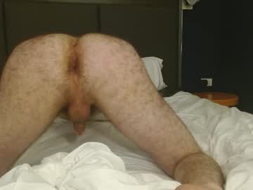 quilincox live cams all day