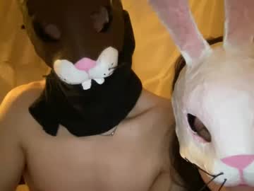 easterhunny live cams all day