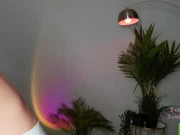 evasaff live cams all day